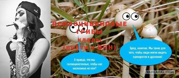 MDMA Горнозаводск