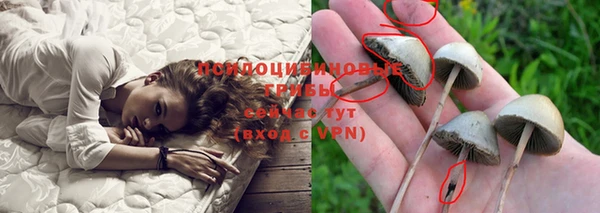 кристаллы Горняк